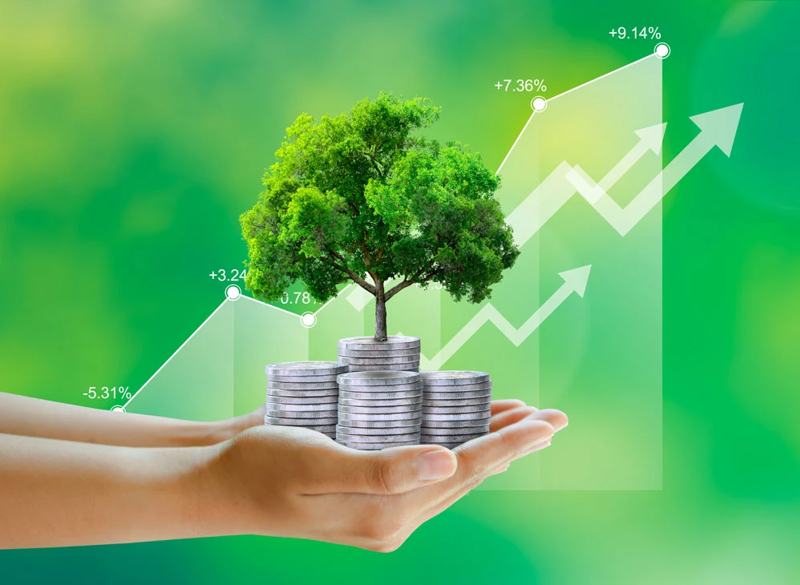 Chiến lược phát triển kinh tế xanh thúc đẩy tăng trưởng xanh ở Việt Nam